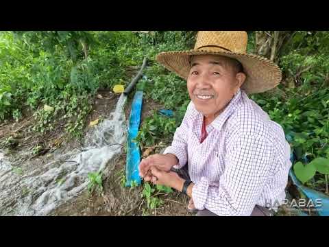 EP705-P1 - Pag-aabono ng mga Tanim na Palay | Occ. Mindoro