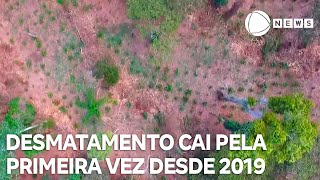 Miniatura do vídeo