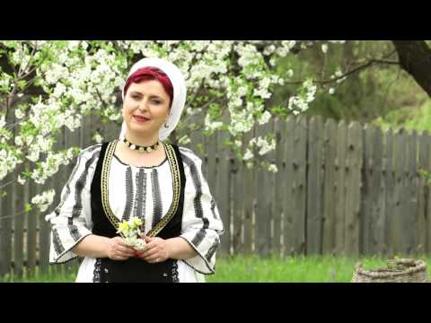 Daniela Tarnauceanu   Vina vara vina