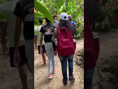 Descubre “Lomas del Bosque” 🌳✨ #travel #travesia #venezuela #viajeinolvidable #turismo