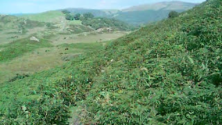 preview picture of video 'Cumbria Way Walk Part 2. (Blawith Fell)'