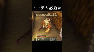 全部ワンパンしそう！？【マインクラフト】#マイクラ横