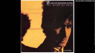 Tav Falco's Panther Burns - She's My Witch (Vinyl)