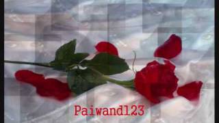 Soran Nuri - Hanasakam