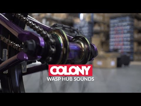 What a Colony Wasp Hub sounds like....