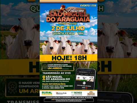 LEILÃO DE SÃO MIGUEL | SÃO MIGUEL DO ARAGUAIA  02/07/2026 | LEILÃO DE GADO AO VIVO