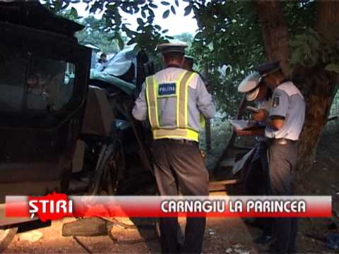 Carnagiu la Parincea - www.1tvbacau.ro (15.08.2013)