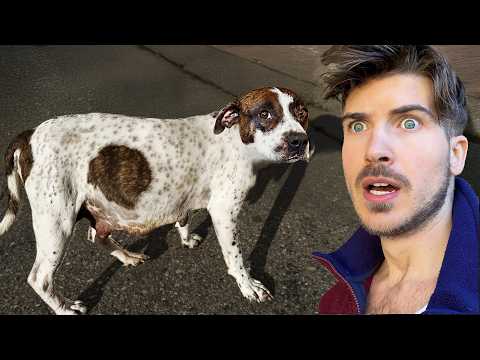 Joey Graceffa and Joey Graceffa Vlogs