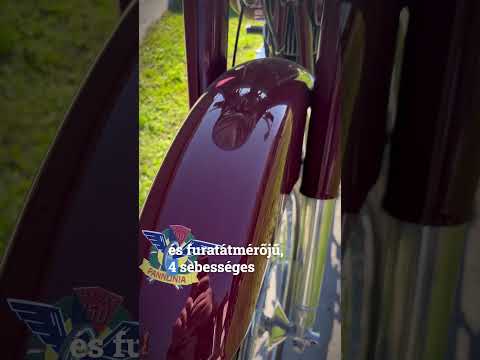 Pannónia 1956-ból  #history #rubicontortenelem #motorcycle #oldtimer #hungary #fypシ #fy #érdekesség