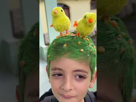O dia do cabelo maluco