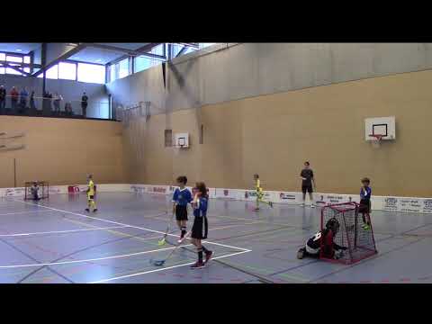 The Hardsticks Adliswil vs Limmmattal 15.12.2018