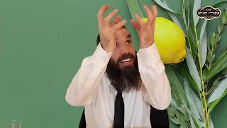 הכנה לחג סוכות | הרב שמואל אידלמן (הרב יוסף צבי בן פורת) - התמונה מוצגת ישירות מתוך אתר האינטרנט יוטיוב. זכויות היוצרים בתמונה שייכות ליוצרה. קישור קרדיט למקור התוכן נמצא בתוך דף הסרטון הכנה לחג סוכות | הרב שמואל אידלמן (הרב יוסף צבי בן פורת) - התמונה מוצגת ישירות מתוך אתר האינטרנט יוטיוב. זכויות היוצרים בתמונה שייכות ליוצרה. קישור קרדיט למקור התוכן נמצא בתוך דף הסרטון