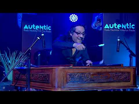 Ioane, Ioane - In grădina lui Ion, toate păsările dorm🦜Marius Preda - Țambal, Cimbalom, Cymbalum