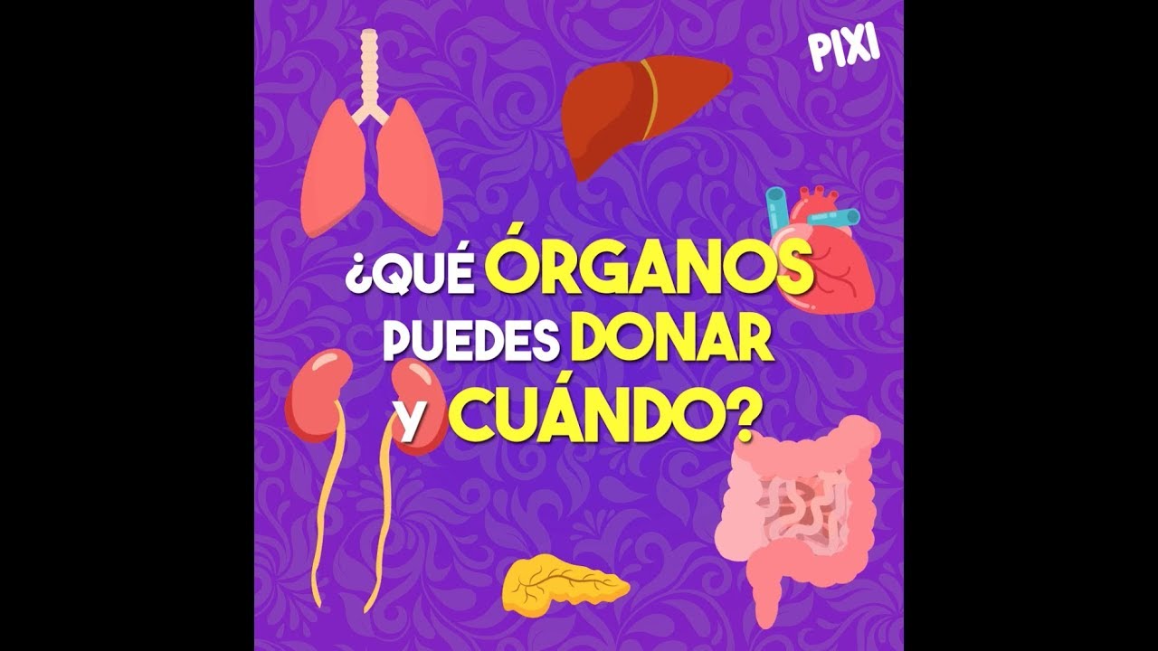 Watch ¿Qué órganos puedes donar y cuándo Now ¿Qué órganos puedes donar y cuándo