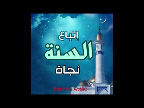 Vi u Allahovom poslaniku imate najbolji uzor | Nermin Avdić | 2018.