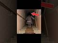 If This Face Peeking at You From the Stairs... DON'T MOVE! | #scary #creepypasta #backrooms