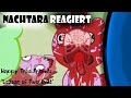 Happy Tree Friends Lesser Of Two Evils Reaktion Nachtara Reagiert S1 F4 Mr NachtaraTV