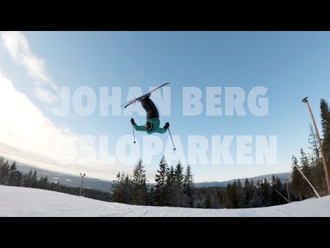 Johan Berg - Osloparken 24