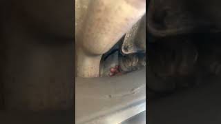 2002 chevy blazer speed sensor swap! (Transfer case sensor)