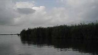 preview picture of video 'Mordab-e Anzali (Anzali Lagoon), Iran'