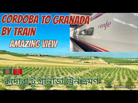 Cordoba to Granada|Renfe Regional Express Train|কর্দোবা টু গ্রানাডা।Spain