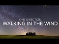 Walking In The Wind (Lyrics) - One Direction