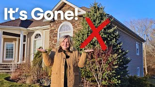 A HUGE Gardening Mistake that Cost Me Money and Time & Arborist Climbs and Trims Trees