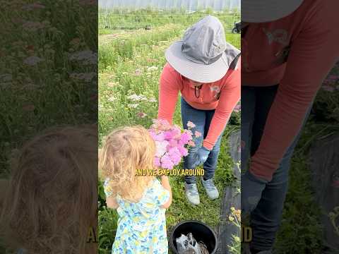 New Jersey farmers are feeling the consequences of Trump’s chaotic policies.