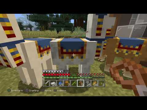 La mia nuova casa!!! E una casa per i lama!!! Minecraft Megacraft #3