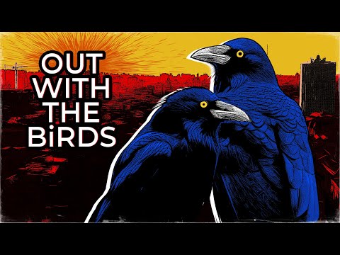 Out with the Birds - a documentary about birds (of course)