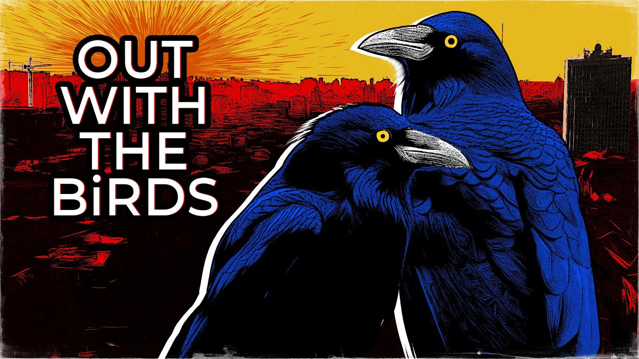 Out with the Birds - a documentary about birds (of course)