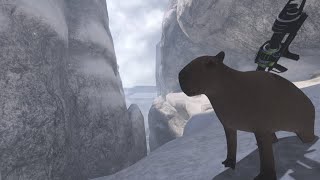 Halo 3 Capybara
