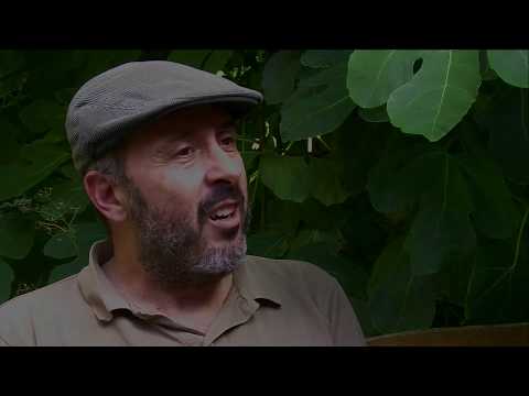 MODERN HOBBITS VS. ENERGY CORPOS  & HIPOCRISY - "HUMAN ENERGY"  movie