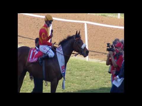 BELGARION - 2020 Vodacom Durban July