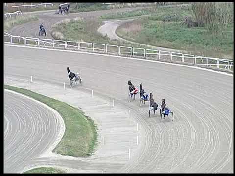 Napoli Trotto 16/12/2022 - 2ª prova di qualifica