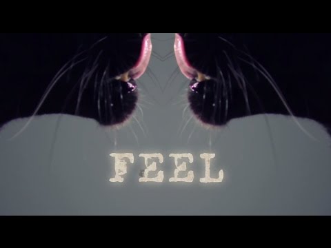 SATE - Feel (Official Video)