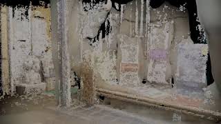 miss kitty -- incoming transmission from Yana