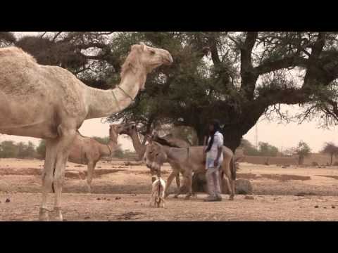 Zeine Act 1 : Le bienfait - Un film de SEIDOU SAMBA TOURE