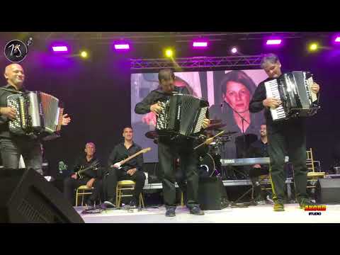 Festival Dani Zorana Jovanovica-Razgovor harmonika