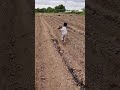 Future Generation Of Our Agriculture Agriculture Farmer Farming Gardening
