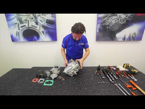 Vortex Rok Shifter disassembly