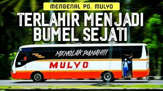 Download lagu SEJARAH PO. MULYO - BUMEL TERTUA YANG MASIH TERSISA MENOLAK UNTUK PUNAH #NGULASBUS mp3 Download lagu SEJARAH PO. MULYO - BUMEL TERTUA YANG MASIH TERSISA MENOLAK UNTUK PUNAH #NGULASBUS mp3