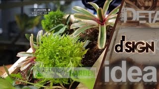 Do It Yourself - Vertical Garden - dSIGN
