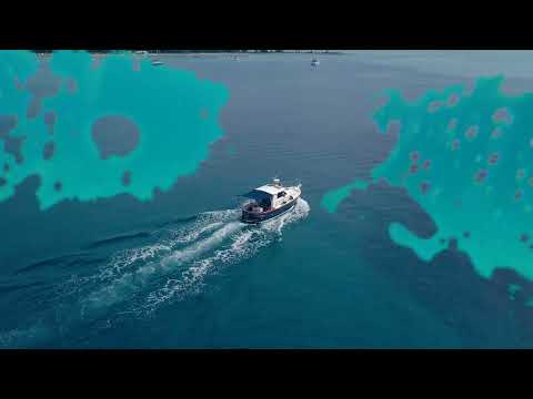 SAXOFRANCIS - Back To Innocence (Official Music Video)