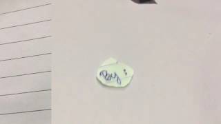 Forever Friend - Fiona Fung Lyrics💕👫