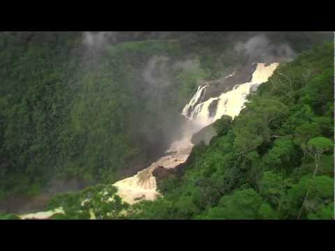 Skyrail Rainforest Cableway