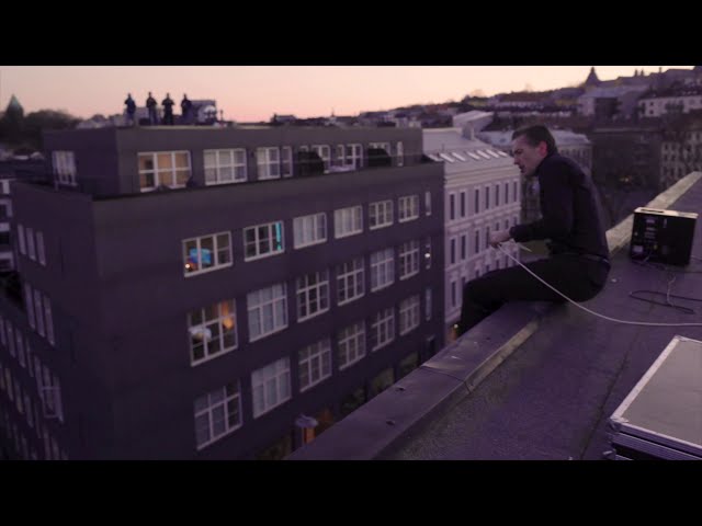 The Dogs – Post Mortem Portraits of Loneliness