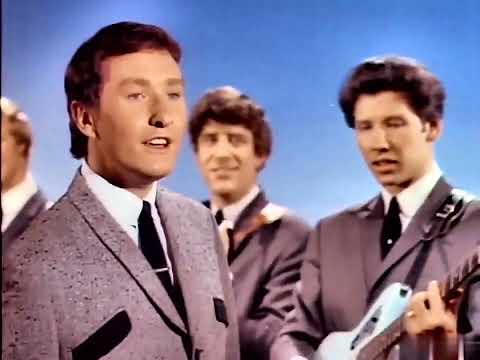 Brian Poole & the Tremeloes   Someone Someone HD