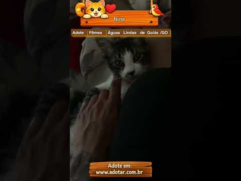 Vídeo de Nina