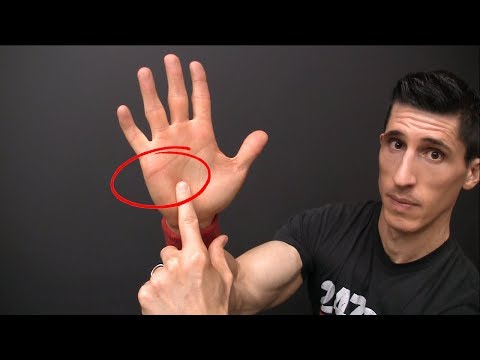 download lagu mp3 mp4 Sign Of The Don, download lagu Sign Of The Don gratis, unduh video klip Sign Of The Don